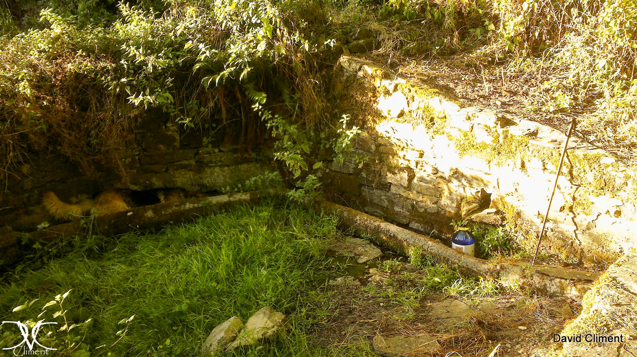 Galería